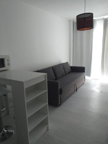 un salon avec un canapé et une table dans l'établissement studio meublé wifi à proximité du tram, à Castelnau-le-Lez