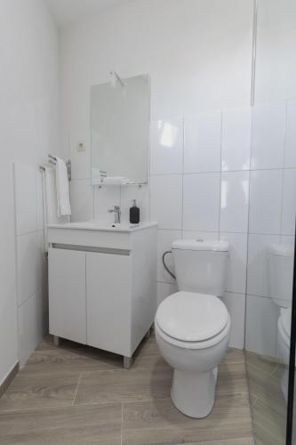 a white bathroom with a toilet and a sink at House Dinavast Bungalow in São João da Pesqueira
