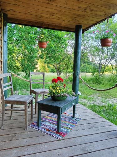 Taman di luar Zielony Domek Letniskowy