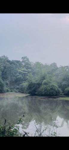 a body of water with trees in the background at Anya Retreats Nature Homestay in Kushālnagar