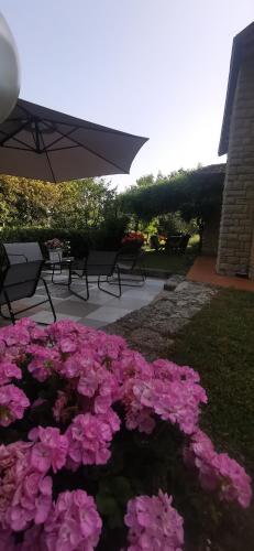 a bunch of pink flowers sitting under an umbrella at MaMè in Bettona