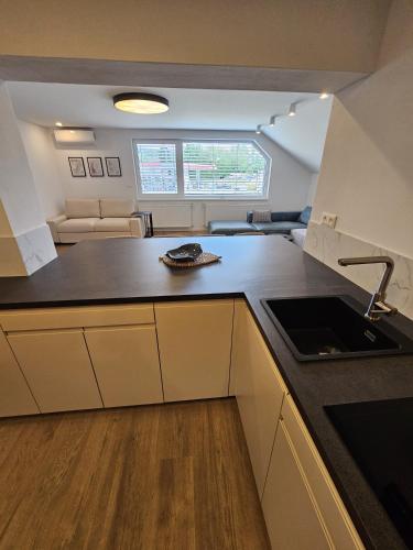 a kitchen with a sink and a counter top at Penzion Royal in Trenčín
