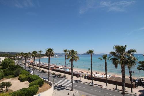 a view of a beach with palm trees and the ocean at Appartement Ceyreste La Ciotat - jacuzzi in Ceyreste