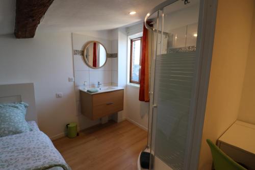 La petite salle de bains est pourvue d'une douche et d'un lavabo. dans l'établissement Chambres et salles d'eau privées dans maison à partager Centre Clermont-Ferrand, à Clermont-Ferrand