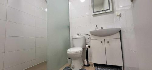a white bathroom with a toilet and a sink at Pension Wolf in Gersdorf