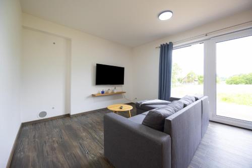 TV a/nebo společenská místnost v ubytování Apartmány u Josífka Velké Losiny