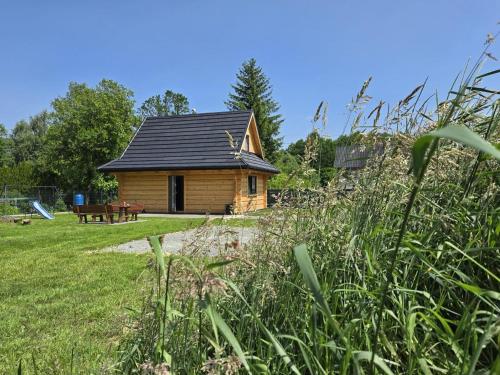 Wilkowiana