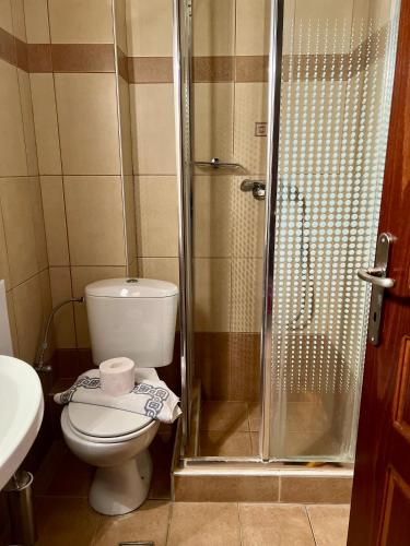 a bathroom with a toilet and a shower at Hotel Magnolia in Loutra Edipsou