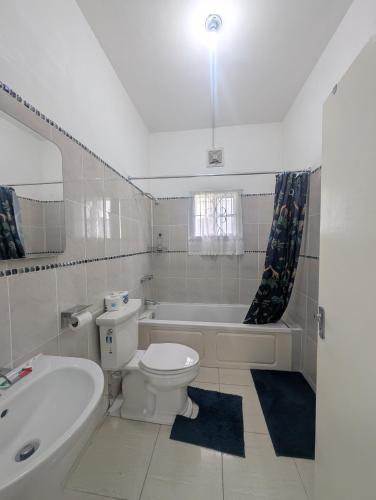 a bathroom with a toilet and a tub and a sink at TwentyFive at Tower Isle in Tower Isle