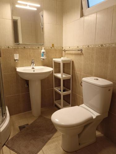 a bathroom with a white toilet and a sink at Green Village studio in Gornji Orahovac