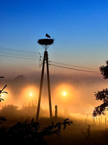 Gambar di galeri bagi Domek nad Biebrzą di Goniadz