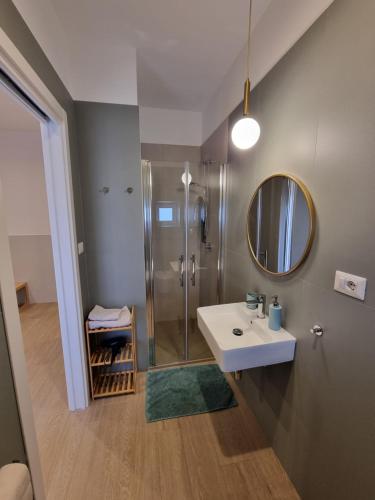 a bathroom with a shower and a sink and a mirror at B&B Luna Rossa in Altamura