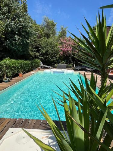 - une piscine dans une cour ornée de plantes dans l'établissement Studio indépendant avec hammam, à Montpellier