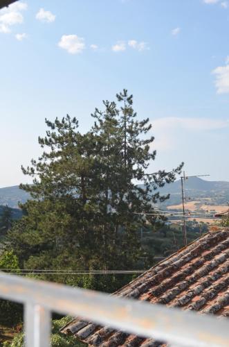 a tree sitting on the roof of a house at Appartamento caratteristico su borgo "da Leone" in Castiglion Fosco