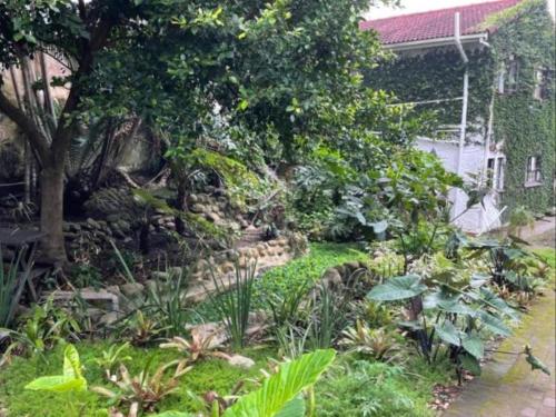 a garden in front of a house with plants at Gracelands Beach Lodge in Ramsgate