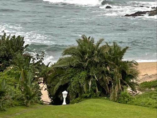 a view of a beach with palm trees and the ocean at Gracelands Beach Lodge in Ramsgate