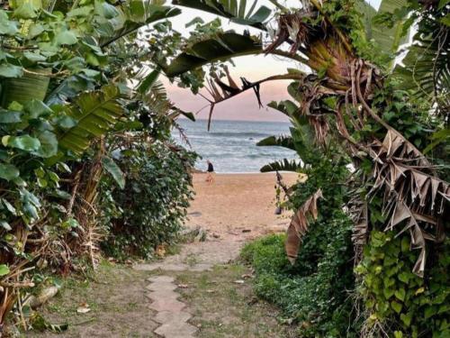a path leading to a beach with a person in the ocean at Gracelands Beach Lodge in Ramsgate