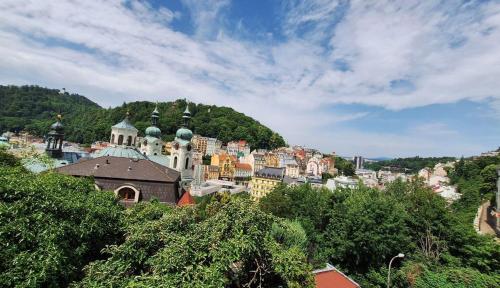 ein Blick auf eine Stadt mit Gebäuden und Bäumen in der Unterkunft Apartmán V Srdci Varů in Karlsbad