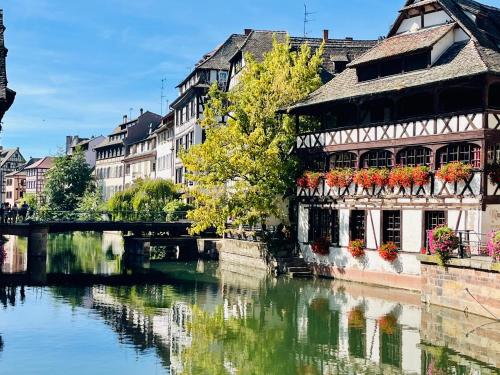 Loft Strasbourg proche Petite France