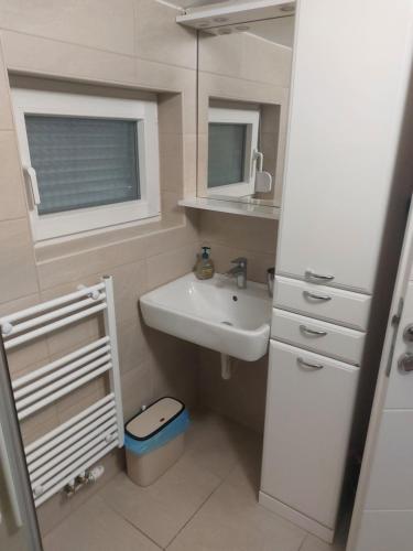 Koupelna v ubytování Apartmani Pavic