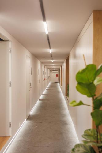 Fotografie z fotogalerie ubytování Moonlight Apartments Tirana v destinaci Tirana