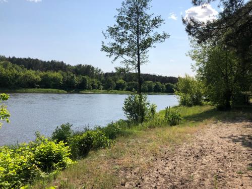 a dirt road next to a river with a tree at Chata w Mchu i Paprociach 