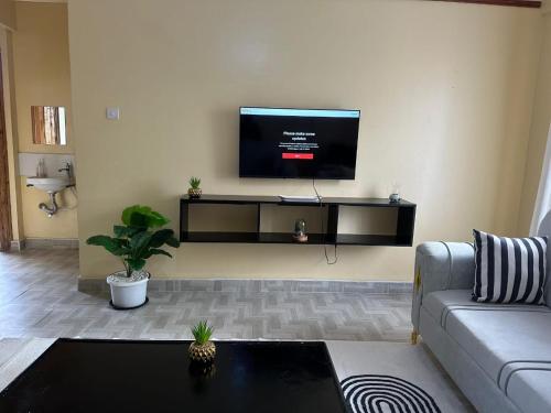 Televisyen dan/atau pusat hiburan di Rupa view Suites