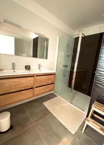 a bathroom with a shower and a sink at Baionako extea in Bayonne