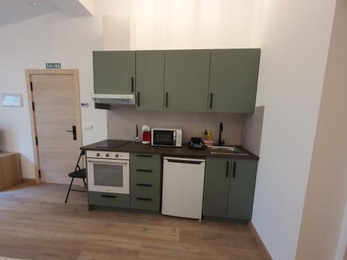 a kitchen with green cabinets and a counter top at Sella Rooms in Arriondas