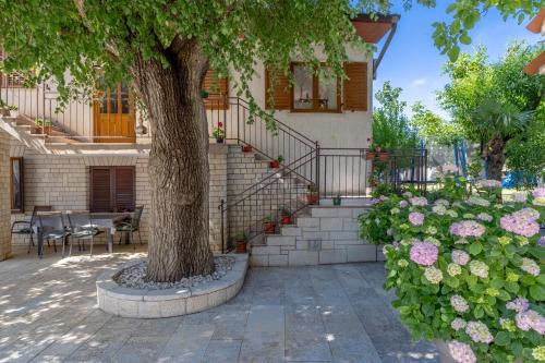 Apartments Mirjana Matohanci