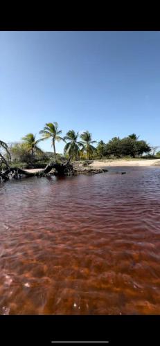 a body of water with palm trees on a beach at Lençóis Maranhenses - Casa Armonia in Santo Amaro