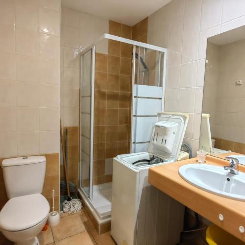 une salle de bain avec une douche, des toilettes et un lavabo dans l'établissement Les Albères Asclepieia Studio Ragnar, à Argelès-sur-Mer