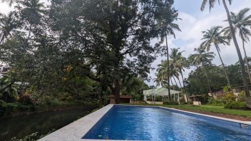 a swimming pool in a villa with palm trees at Indulge House in Revora