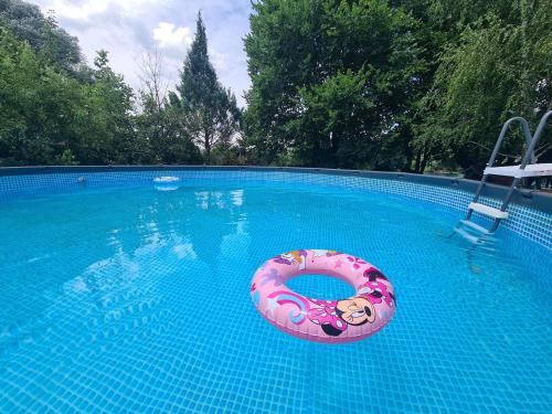 una piscina con una ciambella nell'acqua di Orhidea a Bihać