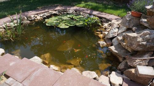 a pond with a bunch of kites in it at Apartment Balatonvilagos - Balaton 30360 in Balatonaliga