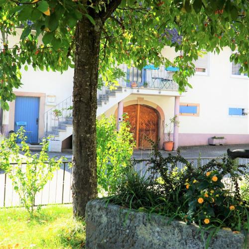 Κήπος έξω από το Alte Schmiede