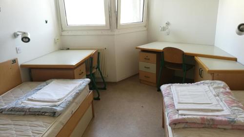 a room with two beds and a desk at Hostel Rožna dolina, Dom XIV in Ljubljana