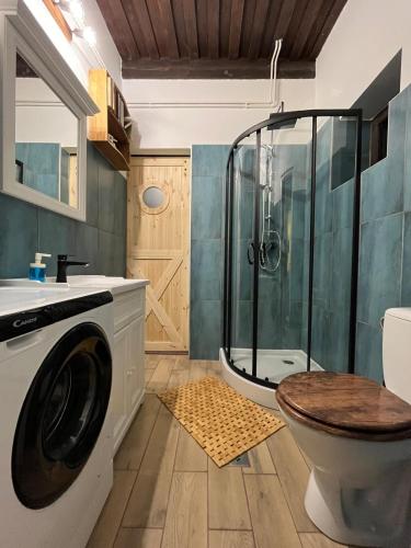 a bathroom with a shower and a washing machine at The Nádas House in Abádszalók