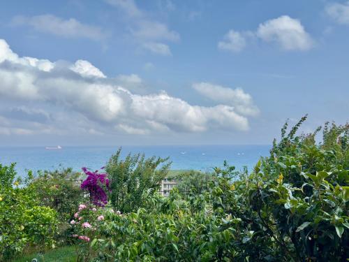 サヴォーナにある550 mt dal mare - Balcone e Vista Mozzafiatoの海を背景とした花畑