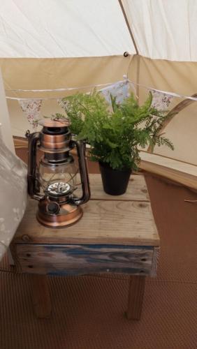 a table with a tea pot and a plant on it at Hopgarden Glamping and camping - Luxury furnished Bell tents & Shepherd huts plus camp field to pitch your own tents in Wadhurst