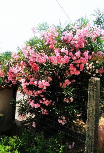 Taman di luar Il Tempo Dei Sogni
