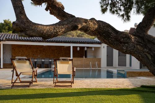 two chairs sitting under a tree next to a pool at Aeolia Villa Athenian Riviera in Anavissos