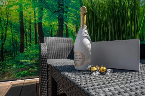 une bouteille de champagne posée sur une table avec deux bagues de fiançailles dans l'établissement Hotel u Ledu, à Velké Popovice