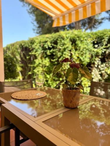 Comfortable apartment near the sea photo 29
