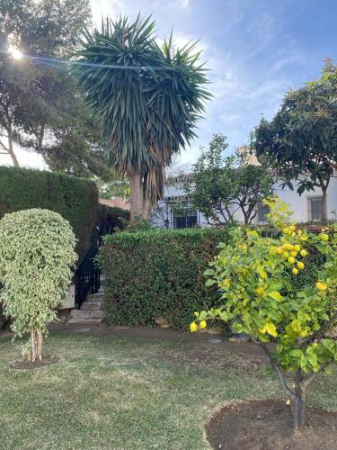 Comfortable apartment near the sea photo 30