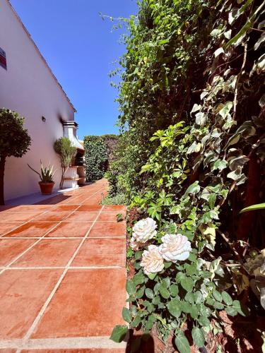Comfortable apartment near the sea photo 43