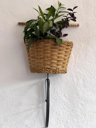 Comfortable apartment near the sea photo 58