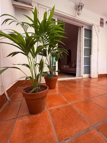 Comfortable apartment near the sea photo 63