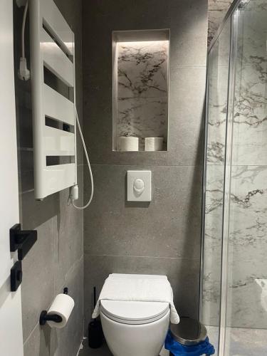 a small bathroom with a toilet and a shower at Casa Del Sol Pietra Kotor in Kotor