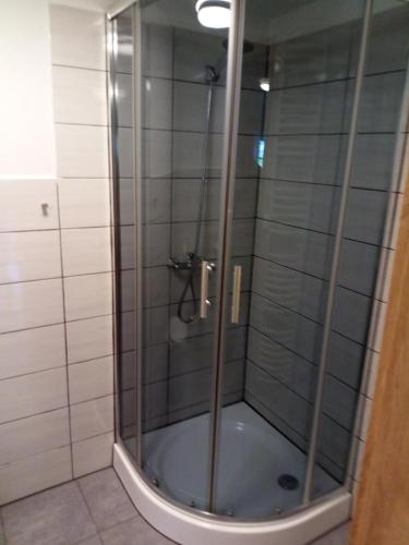 a shower with a glass door in a bathroom at Apartmány pod Lípami - Harrachov in Harrachov